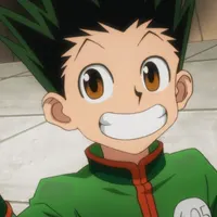 Gon Freecss