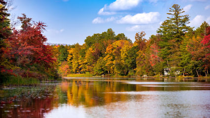 Autumn leaves fill the trees of Ludlow, Vermont, embodying why it’s one of the best places for a second home.