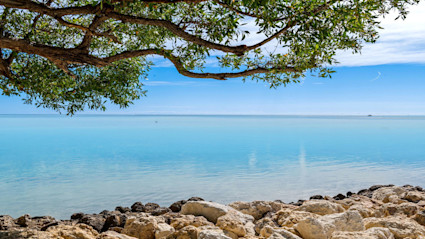 A tranquil beach scene in The Keys, Florida featuring clear turquoise waters, rocky formations, and lush greenery. 