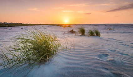 Image of a sandy beach shore at sunset on Fripp Island. 