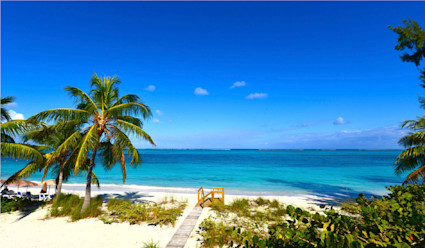 A white sand beach and turquoise waters framed by palm trees.