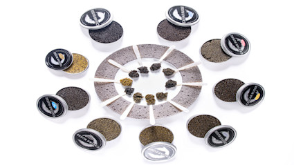 All of Caviar Russe product offerings in a circle with sample in the middle.