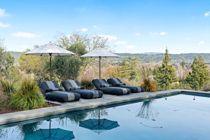 Olive Grove rectangular pool with poolside lounge chairs and vineyard views. 