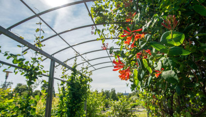 Lush gardens soak in the midnight sun of Helsinki, one of the best vacation spots for couples. 