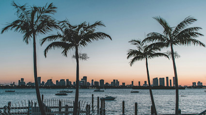 Dusk skyline and palm trees that match the calm mood minimalist architecture aims to create in Miami vacation homes.