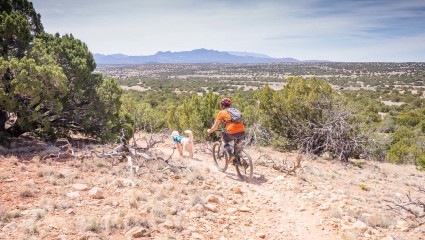 A person rides their bike on a desert trail with their dog leading the way on their pet-friendly vacation.