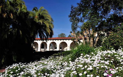 A photo shows wildflowers in front of a home in Old Town, one of the best neighborhoods in San Diego.