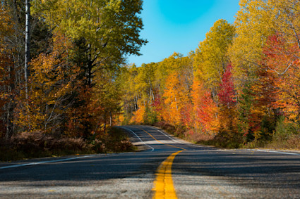 A road lined with trees in shades of orange, green and red.