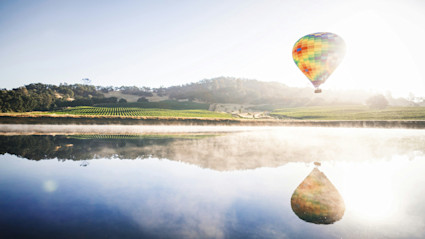 A serene summer landscape in Napa, CA, featuring a colorful hot air balloon floating above a lush green vineyard, perfectly capturing the essence of wine country and the leisurely indulgence of wine tastings in a scenic private estate setting.