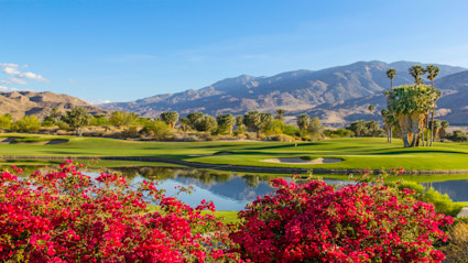 Vibrant views of a Palm Springs golf course with lush bougainvillea and palm trees, showcasing the natural beauty and allure of living near a golf course in this desert oasis.