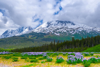 Image of the Chugach Mountains. 