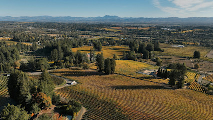A stunning aerial view of a vineyard in Sonoma, CA, with vibrant autumn colors, rolling hills, and clear blue skies, perfectly capturing the picturesque wine country atmosphere that defines the summer festival season in Napa Valley.