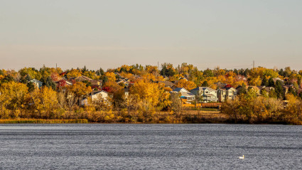 A photo of ​​Quincy, a great place to enjoy fall in California.