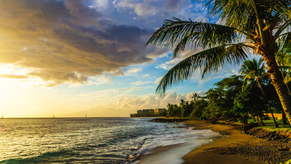 Palm trees line the coast of Maui, Hawaii at sunset, embodying why it’s one of the best places for a second home.
