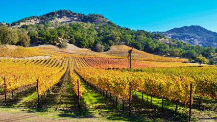 A photo of  Highway 12 (Wine Road), one of the best places to see Napa Valley fall colors.
