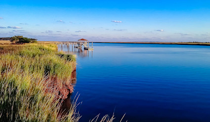 Image of the shore at Daufuskie Island.