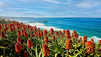 La Jolla’s coastline in fall invites slow mornings and relaxed strolls along the pier and bluffs.