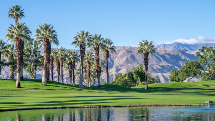 The water, palm trees and golf courses are why Palm Springs is one of the top family vacation spots in the country. 
