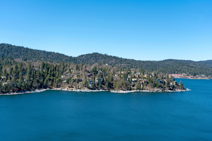 a body of water with houses and trees