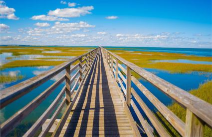 A photo of Yarmouth, one of the Cape Cod towns to visit. 