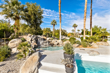 pool with palm trees and plants