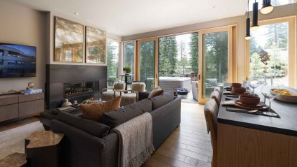 Contemporary living room with sleek furniture and forest views
