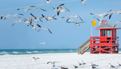 Seagulls fly near a lifeguard stand at Siesta Beach, one of the best beaches for kids in the South.