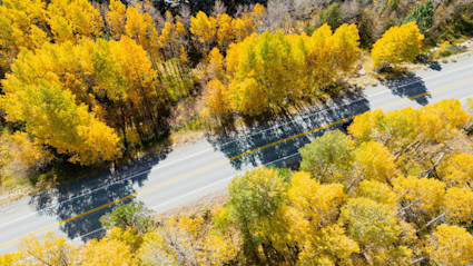 Aspen’s alpine roads and golden aspens set the stage for year-round exploration, from powder days to late-season hiking.