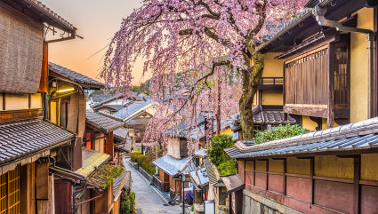 A cherry blossom tree shades the street in Kyoto, one of the best vacation spots for couples. 