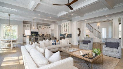 Bald Eagle living room