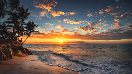Hawaiian beach during a colorful sunset over the ocean with the silhouette of a group of palm trees.