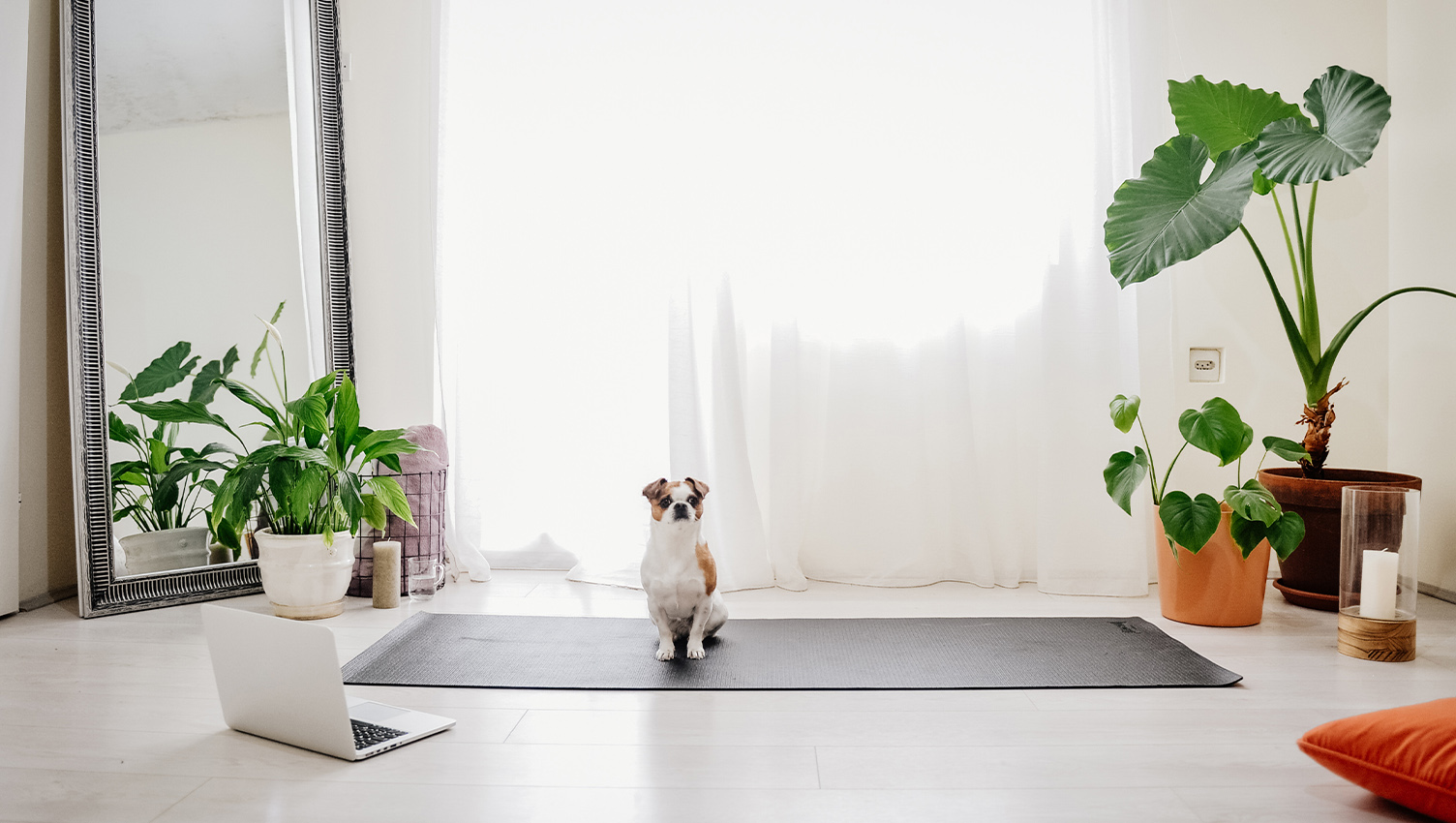 How to Create a Zen Yoga Room or Space at Your Vacation Rental - MindfulBnB