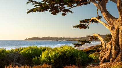 A photo of Carmel-by-the-Sea, California, one of the most romantic fall getaways.
