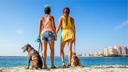 Two women with their dogs overlook the ocean in Miami, a glowing scene that captures the charm of a coastal pet-friendly vacation.
