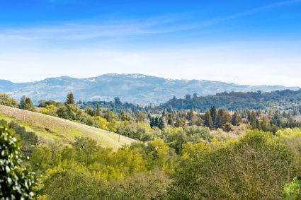 View of mountain range from top of a hill in Napa Valley, CA. 