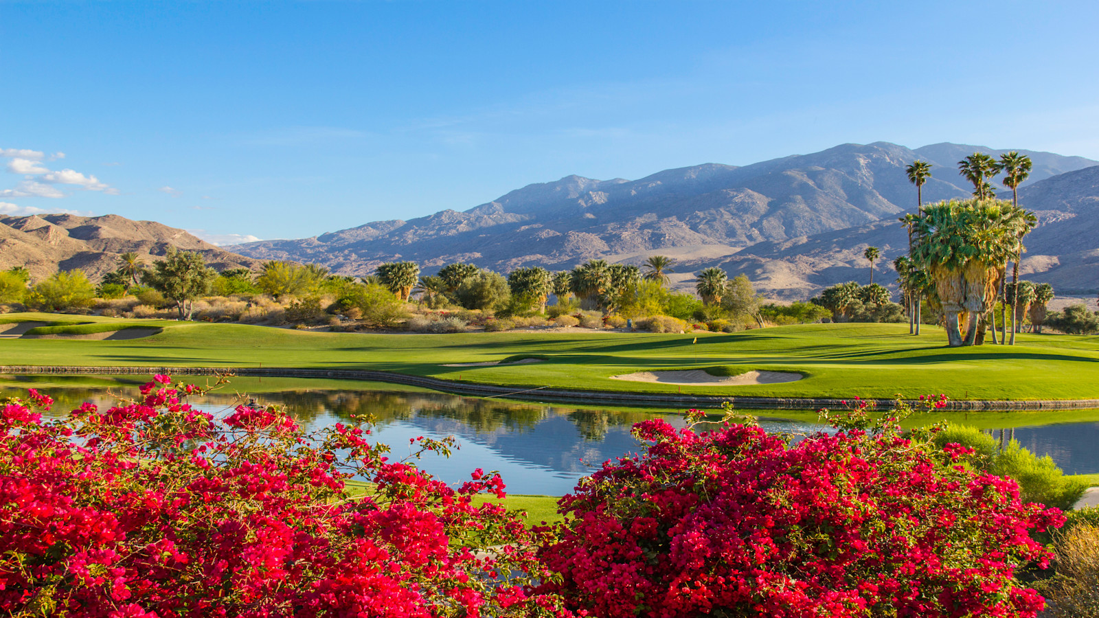 Things to do in Palm Springs and the Coachella Valley - Pacaso
