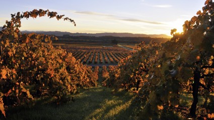 A photo of Healdsburg, a great place to enjoy fall in California.