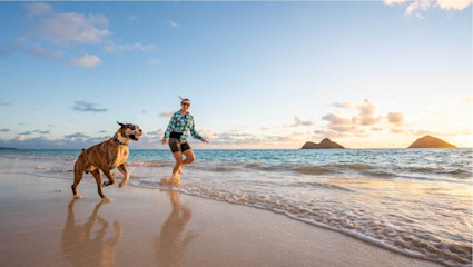 A dog and human play together on Maui’s sandy shore, a dreamy island setting for unforgettable pet-friendly vacations.