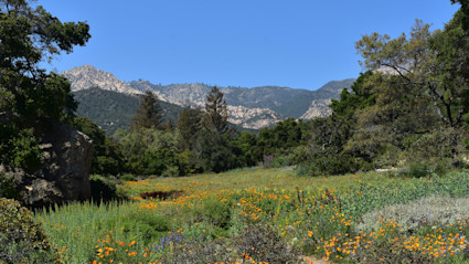 View in Santa Barbara