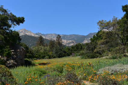 View in Santa Barbara