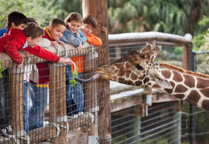 A photo of Gulf Breeze Zoo, one of the things to do in Destin, Florid