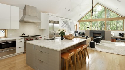 Kitchen in Aspen