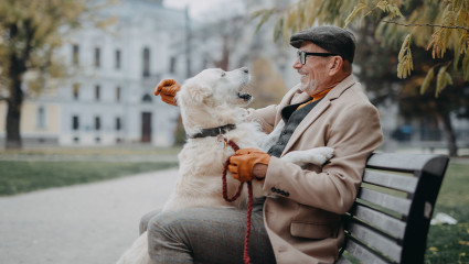 13 Pet-friendly Spots in Boston Perfect for Dogs