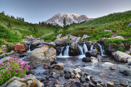 Image of Mount Rainier. 