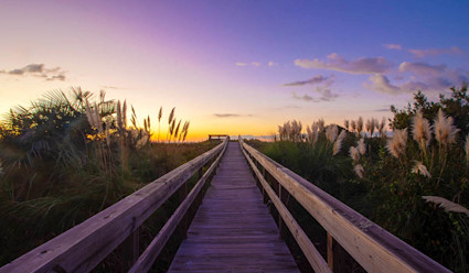 Image of a small boardwalk on the Isle of Palms. 