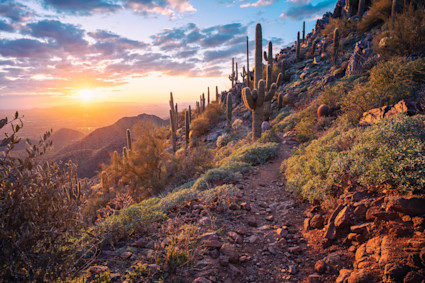 The McDowell Mountains, Arizona, at sunrise. 