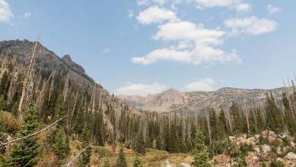 A landscape of the Zirkel Circle hiking loop, one of the top places for Steamboat Springs summer activities.