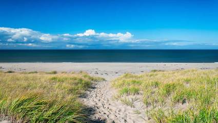 A photo of Race Point Beach, one of the best beaches for kids.