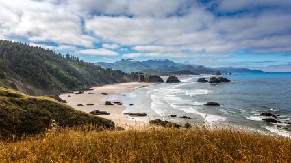 A photo of an Oregon coast with mountains in the background.