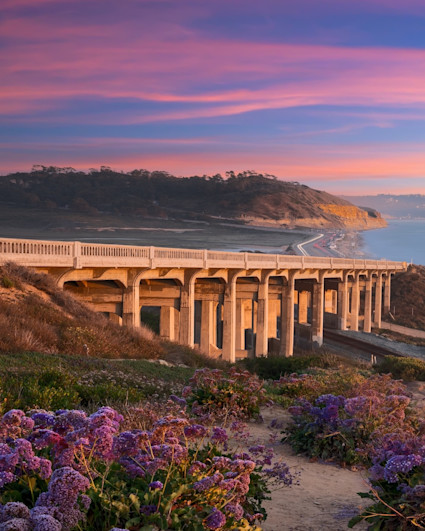 View of a San Diego coast during a colorful sunset with purple flowers littered the coast.